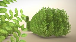 Low-Poly Cherry Laurel Hedge Package (WIP-1) plant, plants, bushes, hedge, wip-1, privet, 3dhaupt, ligustrum, low-poly, noai, lorbeerkirsche, kirschlorbeerhecke, cherry-laurel-hedge