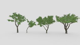 Orange Tree- Pack- 02 tree, plant, orange, unreal, nature, lowpoly-model, oranges, 3d_ornaments, unity, lowpoly, orange-fruit, lowpoly-orange, orange-3d, orange-lowpoly