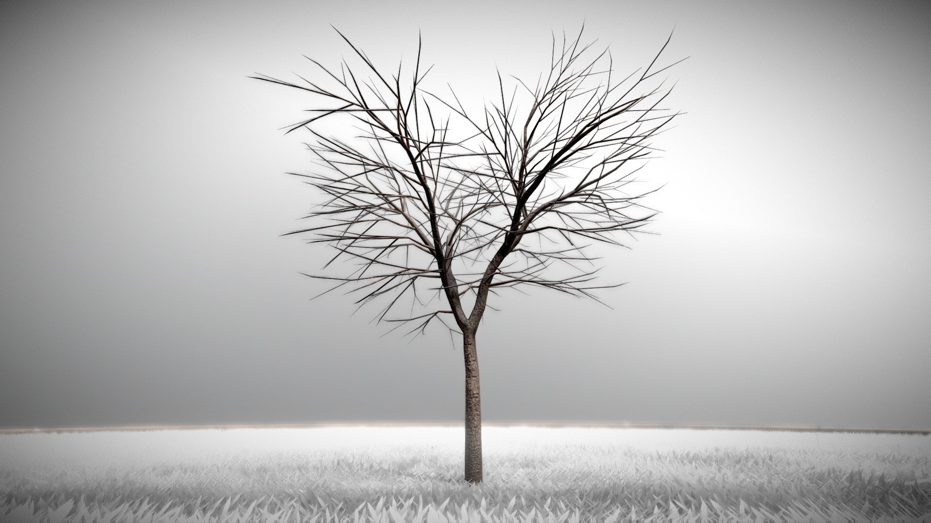 Kastanie 4 Meter im Winter.






Object Name - European_Horse_Chestnut_Winter_4m 

Object Dimensions -  3.924m x 3.919m x 4.000m






Vertices = 4776

Edges = 8926

Polygons = 4720





Aus dem VIS-All Baum Module 4 





Modelliert und texturiert von 3DHaupt mit Blender-3D





Frühling




Sommer




Herbst


 - Kastanie 4 Meter - Winter - Buy Royalty Free 3D model by VIS-All-3D (@VIS-All) 3d model