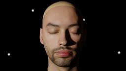 inciprocal Face face, advanced, double, twin, head, photometry, ecco, character, scan, inciprocal