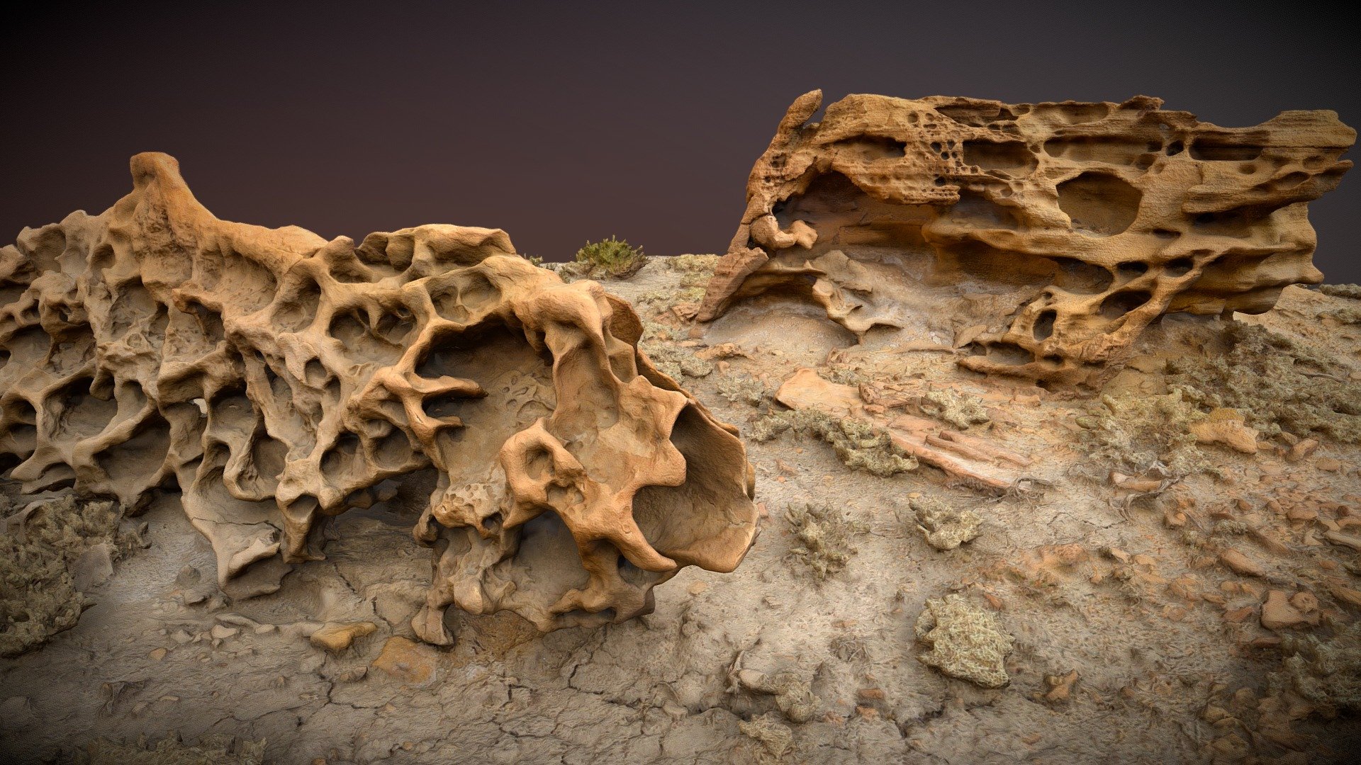 This is an entry into the 3DF Zephyr 2020 Worldcup competion, round #2.  The rules are no outside editing or fixing, so any minor issues you see would otherwise be easily painted out.

At the end of Miller's Canyon (Central Utah), just across the highway, is a huge plateau of yellow sandstone sitting on top of incredibly fluffy blue-gray sediment.   Sometimes a block of sandstone will break off and roll down the soft slopes and end up out in the flats.  Over a thousand years these huge blocks will weather and decompose into amazing shapes.  These rocks are called &ldquo;Miller's Cows