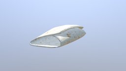 Empty Burrito Tortilla food, burrito, wrap, tortilla, kebab, doner, donerkebab, blender