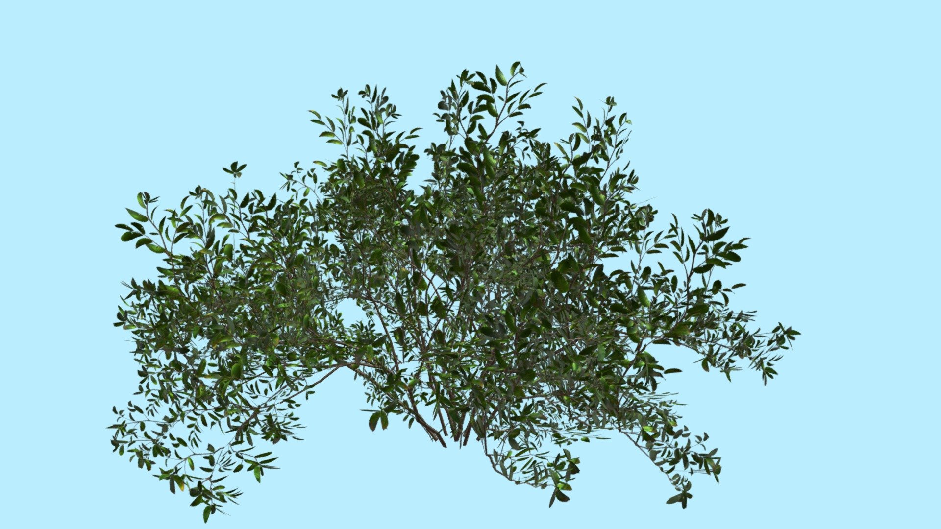 3d game ready model of a bush 3d model
