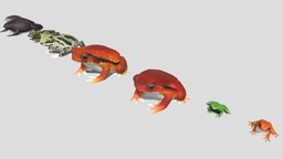 8 kinds of toad A frog, toad, low-poly