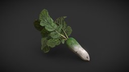 Daikon radish with leaves food, garden, asian, daikon, radish