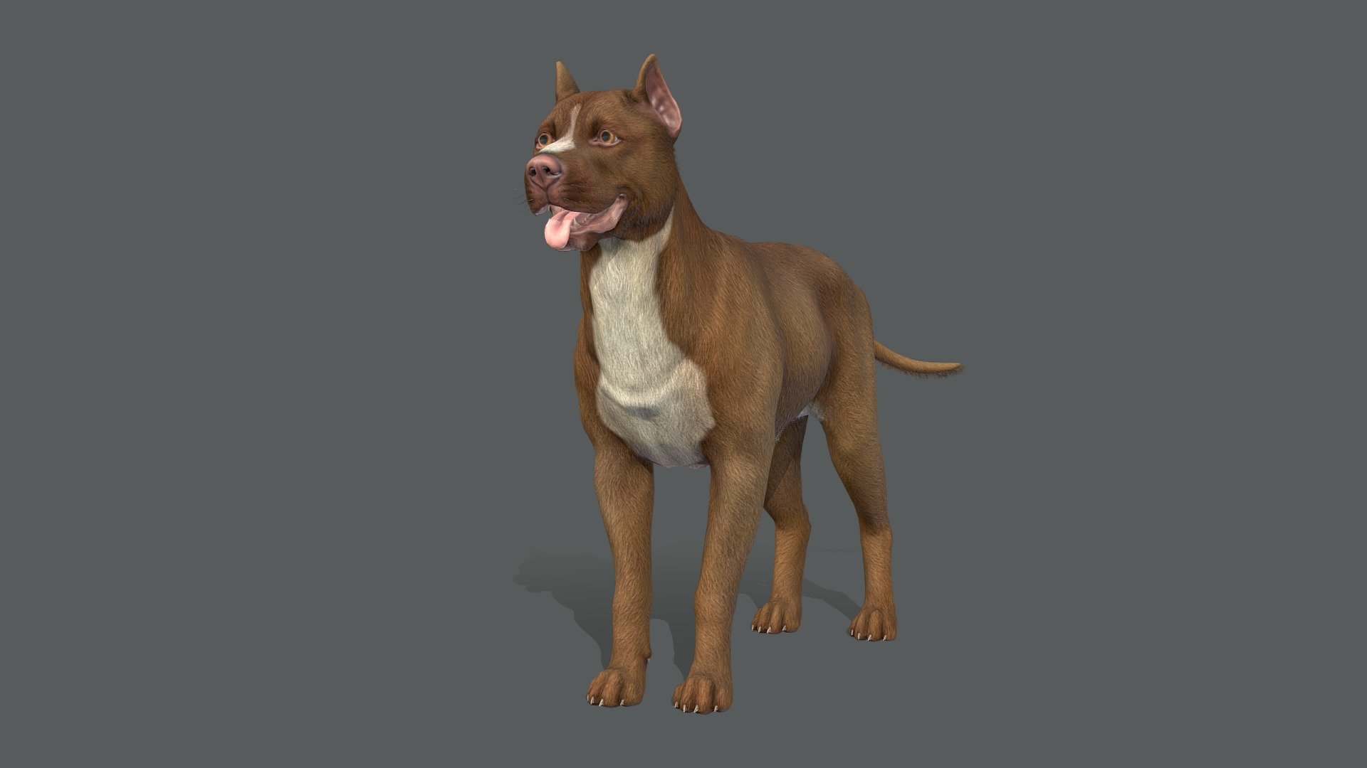 All files with animations are in the attached archive.

The attached archive contains:

3 color options

IP/RM animations

FBX, OBJ, Blend file formats

If you have any questions, write to me by mail 3d model