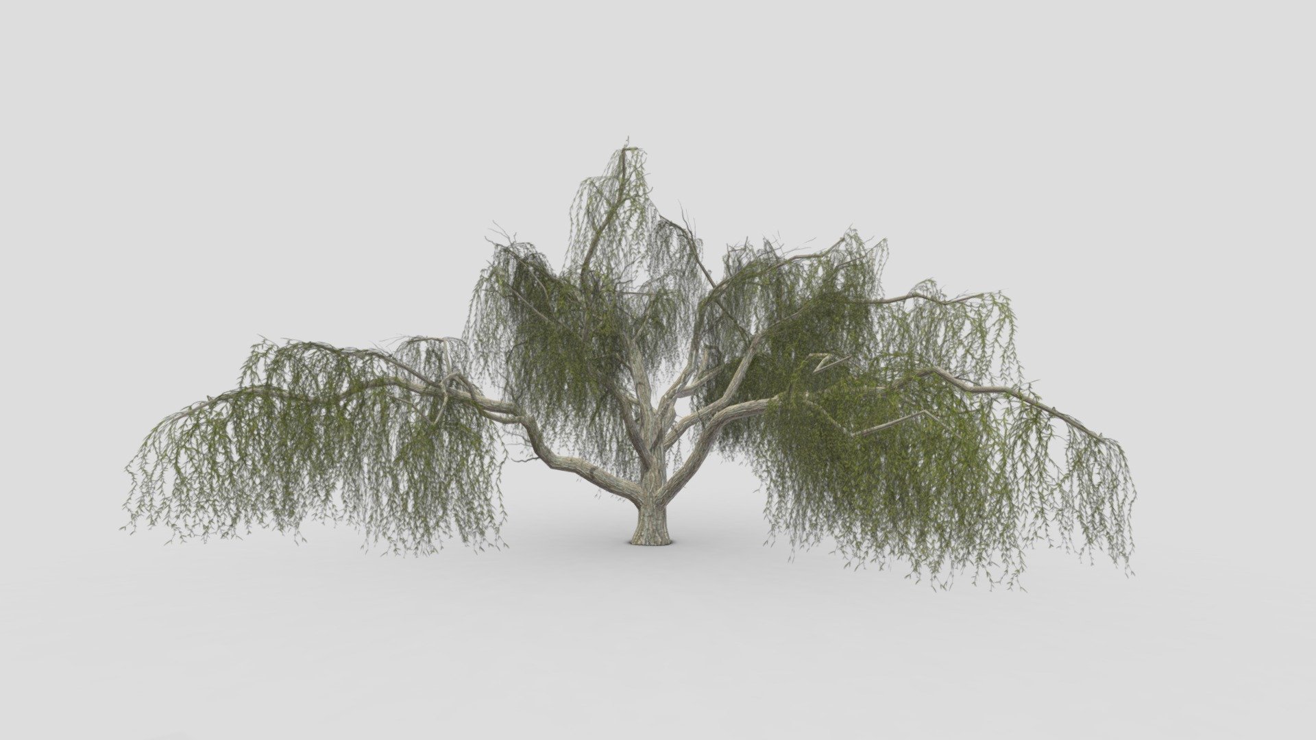 I try to provide low poly model of the Weeping Willow tree to use for your game project. I hope this model will be useful for you 3d model