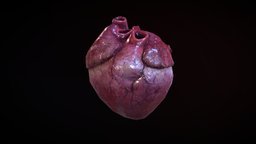Heart heart, 3dcoat, 3d-coat, blender