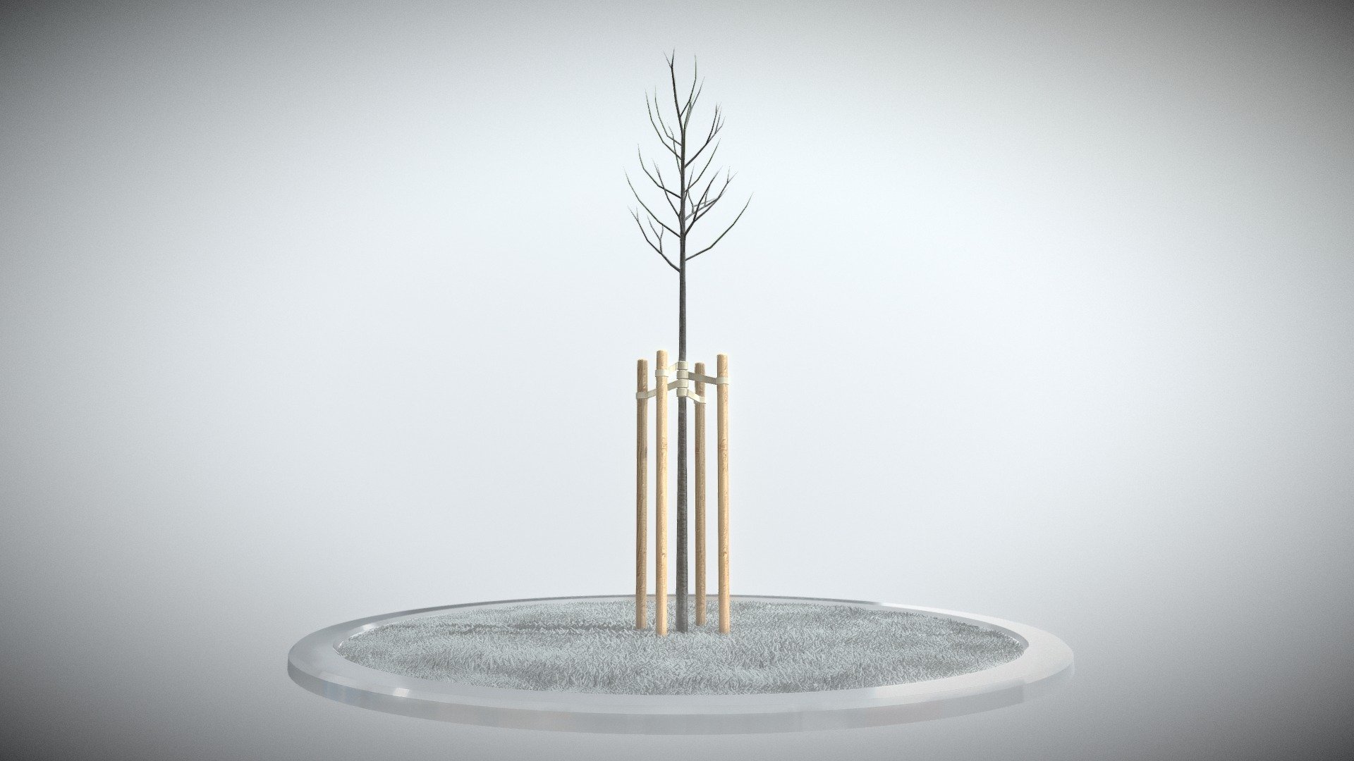 Here is a small tilia city tree.

2 meters high in winter  season.

 - Tilia Tree 2 Meters in Winter Season - Buy Royalty Free 3D model by VIS-All-3D (@VIS-All) 3d model