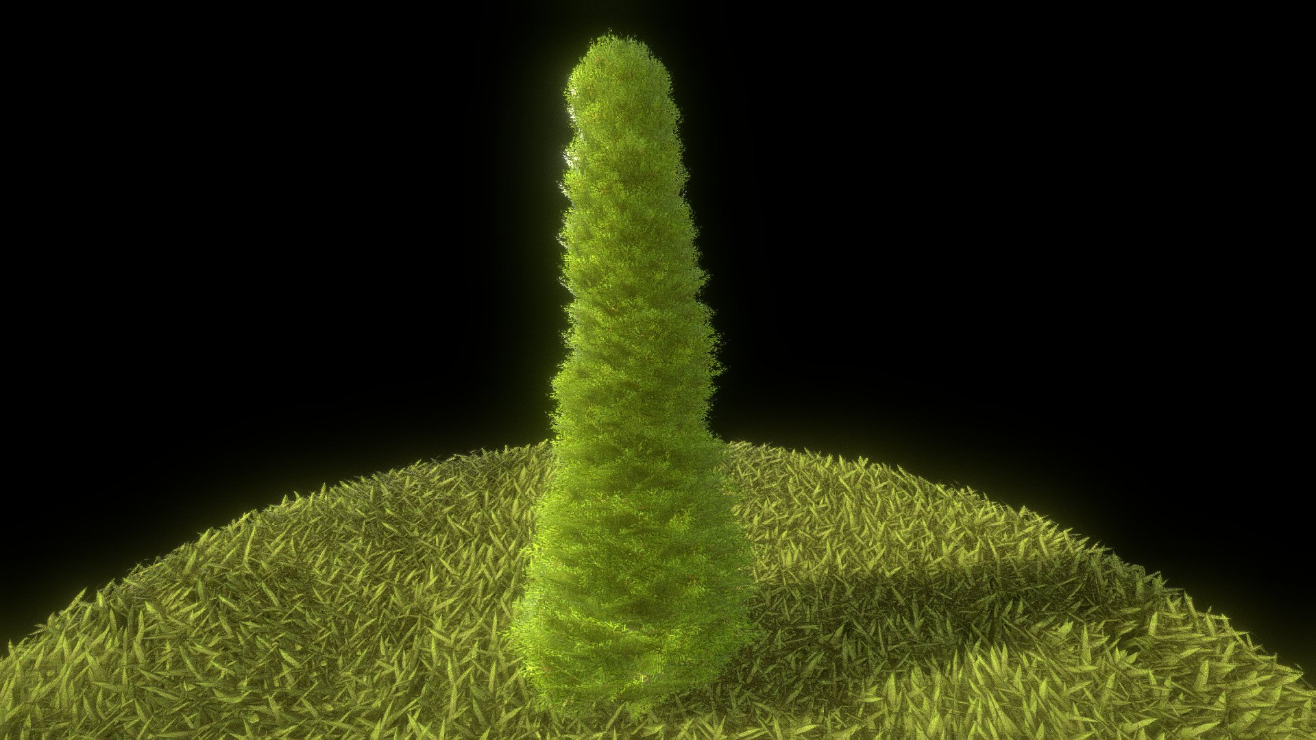 Here is a 1 meter high cypress for your garden scene or house visualization project. 











Textures(4k):




Color map

Mask texture for the transparency

Normal map



Here on Sketchfab you can view or purchase some of our 3d-models which we are using in our projects for VIS-All.



The model was created by 3DHaupt for the Software-Service John GmbH.



3D-Model was modelled and textured in blender.                                                                                   

















- - Cypress - Version 3 - 1 Meter - Buy Royalty Free 3D model by VIS-All-3D (@VIS-All) 3d model