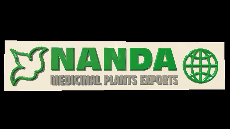 Published by 3ds Max - Nanda Logo D - 3D model by Francesco Coldesina (@topfrank2013) 3d model