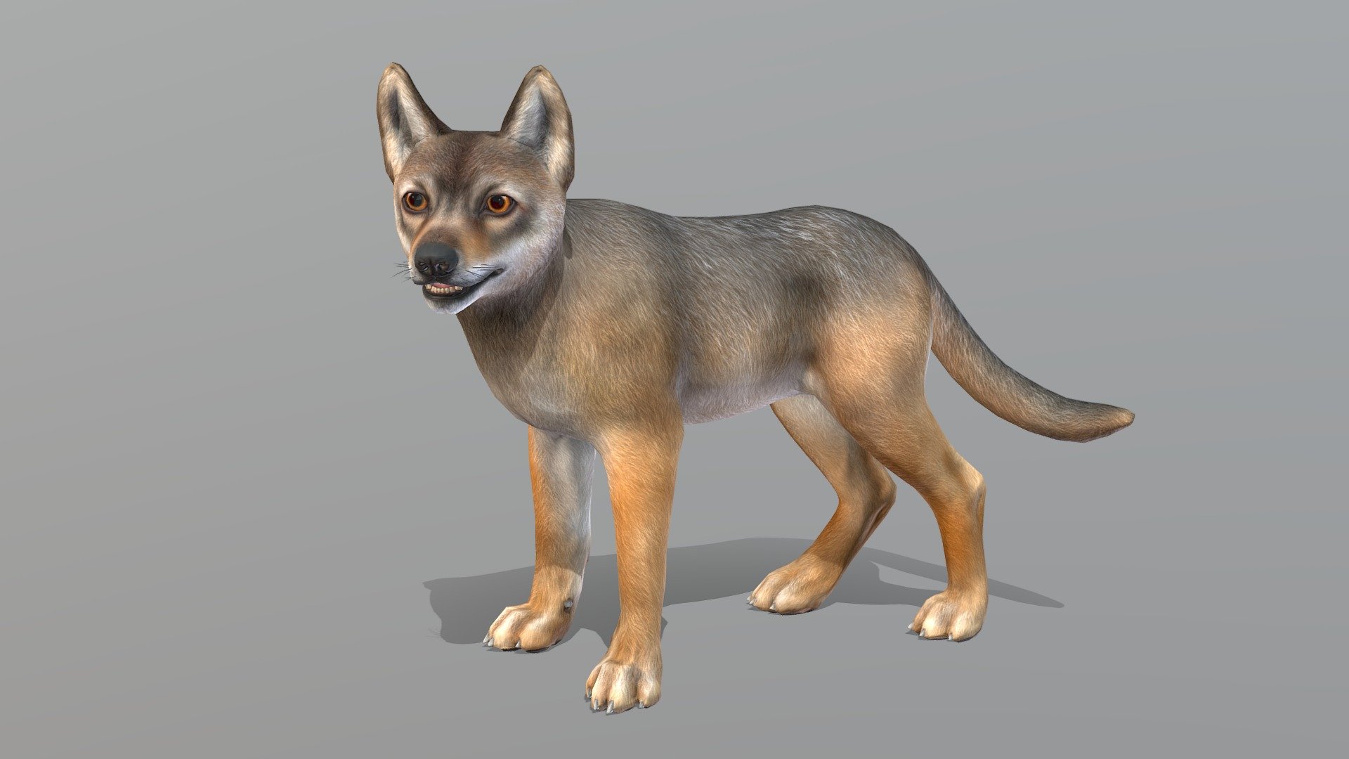Not for sale!
If you have any questions, please email me 3d model