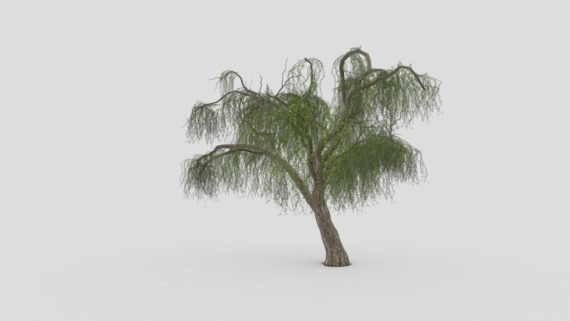 I try to provide low poly model of Weeping Willow tree to use for your game project. I hope this model will be useful for you 3d model
