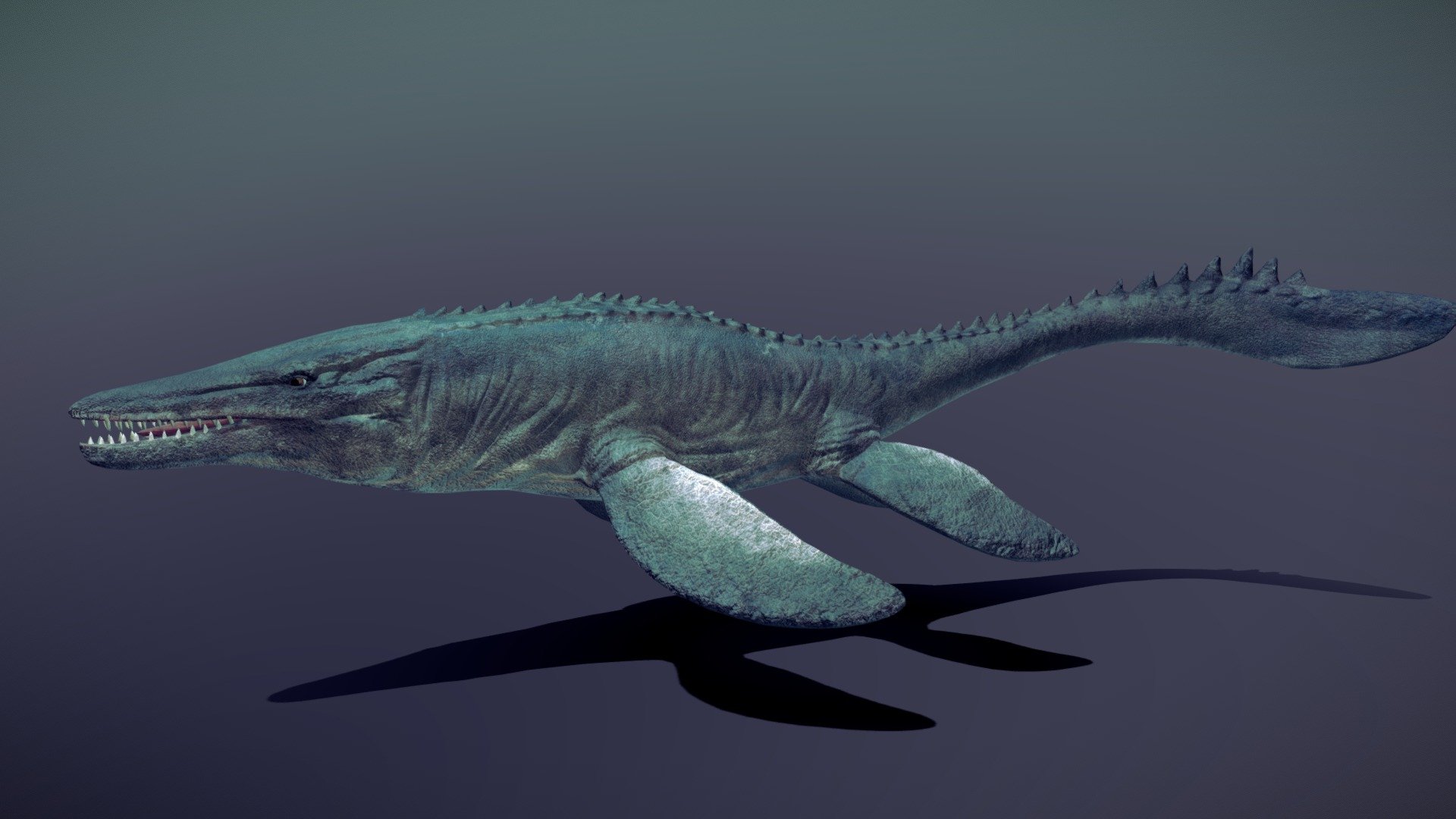 The Mosasaurus 3d model was made in blender 2.9 and painted in substance painter ,is low poly and subdivison ready , without subdivision it haves  7,263 and with it 29449 verts (just counting  the mosasaurus body it is 4551 and with subdivision is 18624) , It is fully rigged with basic bones , it have a total of 5 animations : idle , swim1 ,swim 2 , assault and speed up .

The texture comes with 4k and 2k  textures : diffuse , normal , roughness ,height/displacement and AO maps , baked normal map from a high poly model and place it in the low poly model , uv wrapped it manually .

Eyes ,teeth and tongue , all is in one texture .

Comes with blend file and the textures attached in rar.

A short animation i did with this model : https://www.youtube.com/watch?v=FiQ-RSBRsVE&amp;t=4s - Mosasaurus - Buy Royalty Free 3D model by GoldenZtuff (@dhjwdwd) 3d model