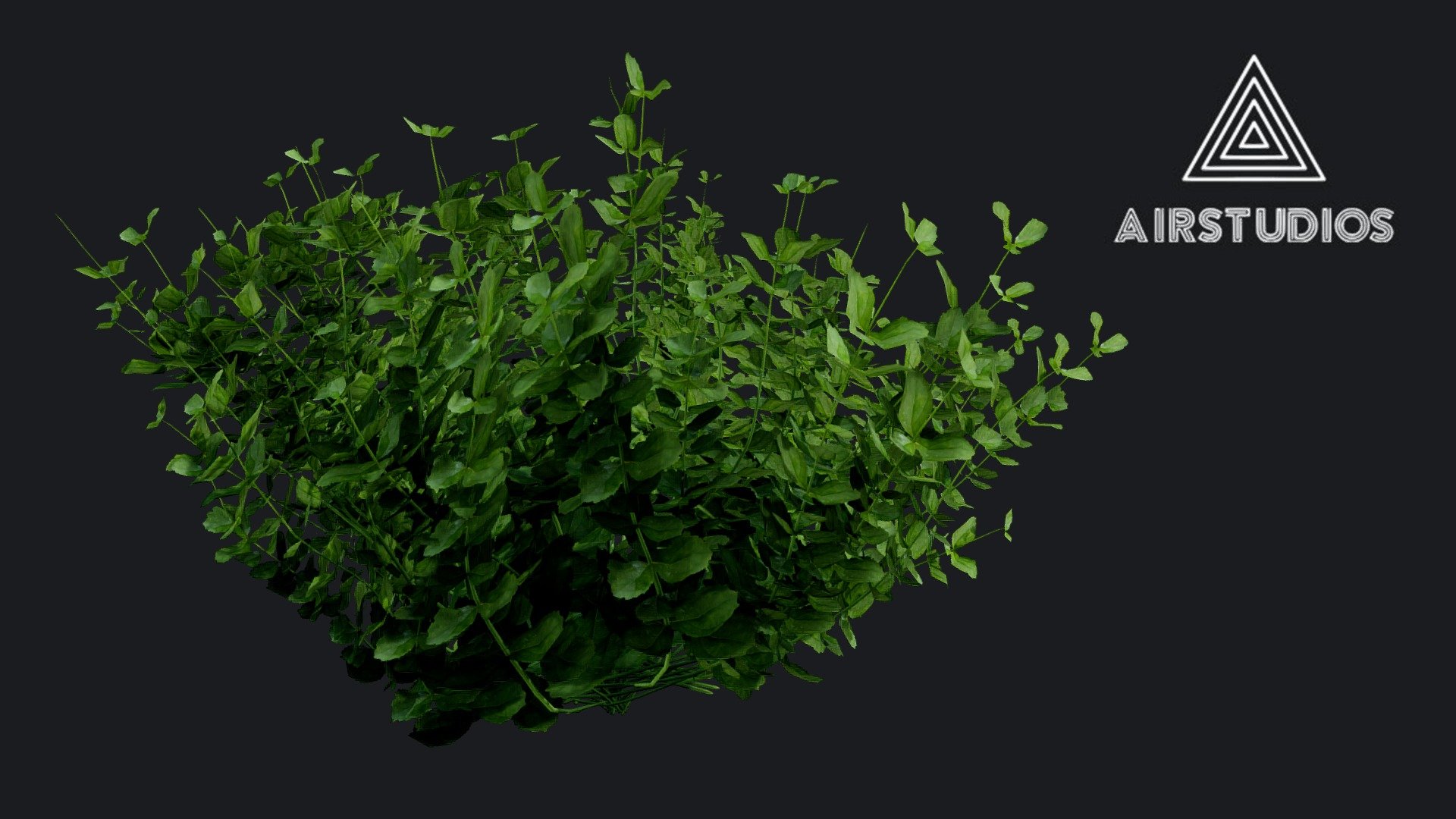 Game Ready Bush
Made in Autodesk Maya - Bush (Realistic) - Buy Royalty Free 3D model by AirStudios (@sebbe613) 3d model