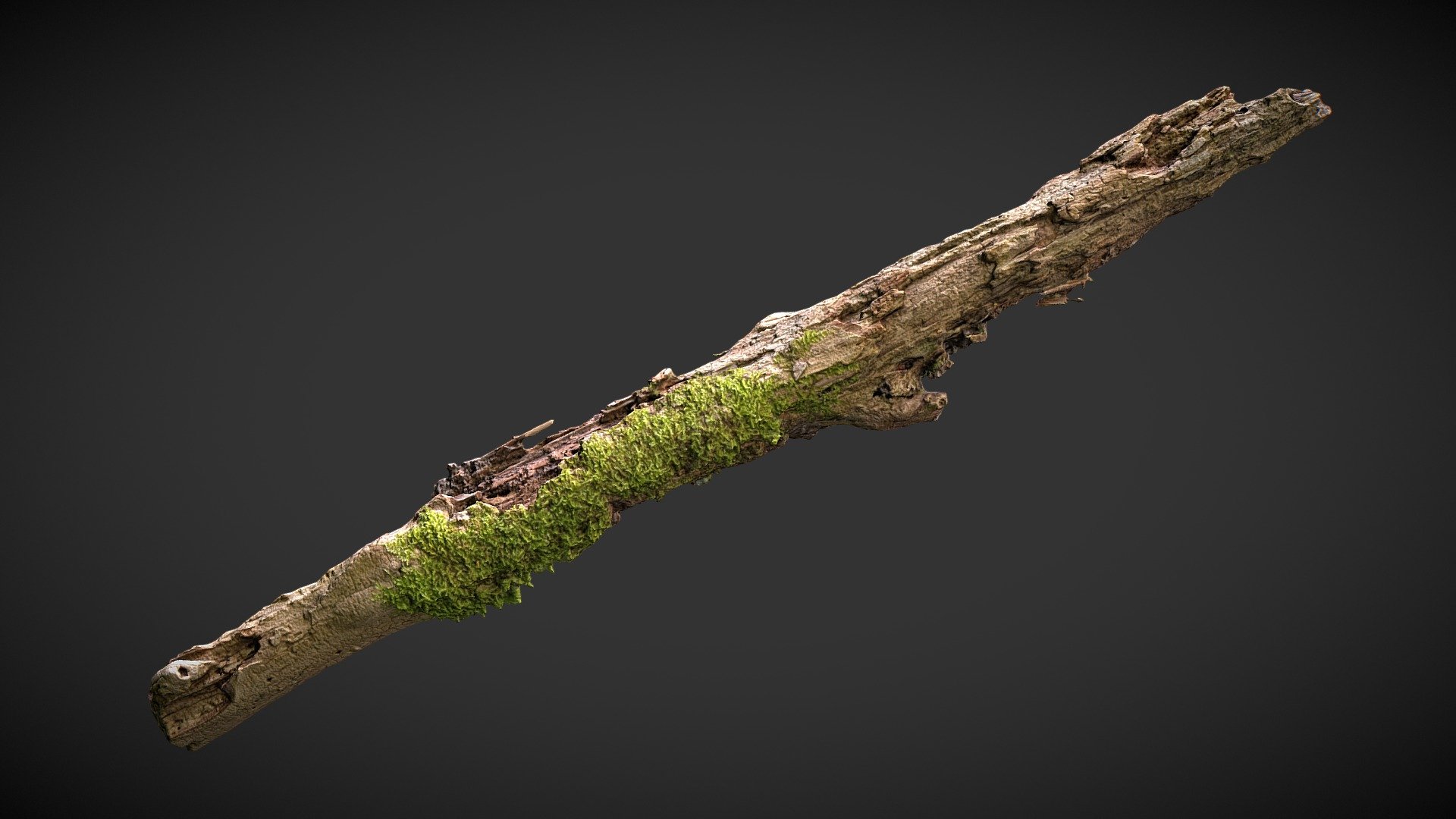 Here is one of my many scan (120+) done in my studio.

This model is perfect for 3D printing and film making, you can use it for game but it need a bit of decimation to be applied as scatter/particle distribution.



Aspect:

de-lighting applied
decaying texture

Scale, about 1 meter long 

Included 8K textures
 - Rotting branch 01 - Buy Royalty Free 3D model by optimuscan 3d model