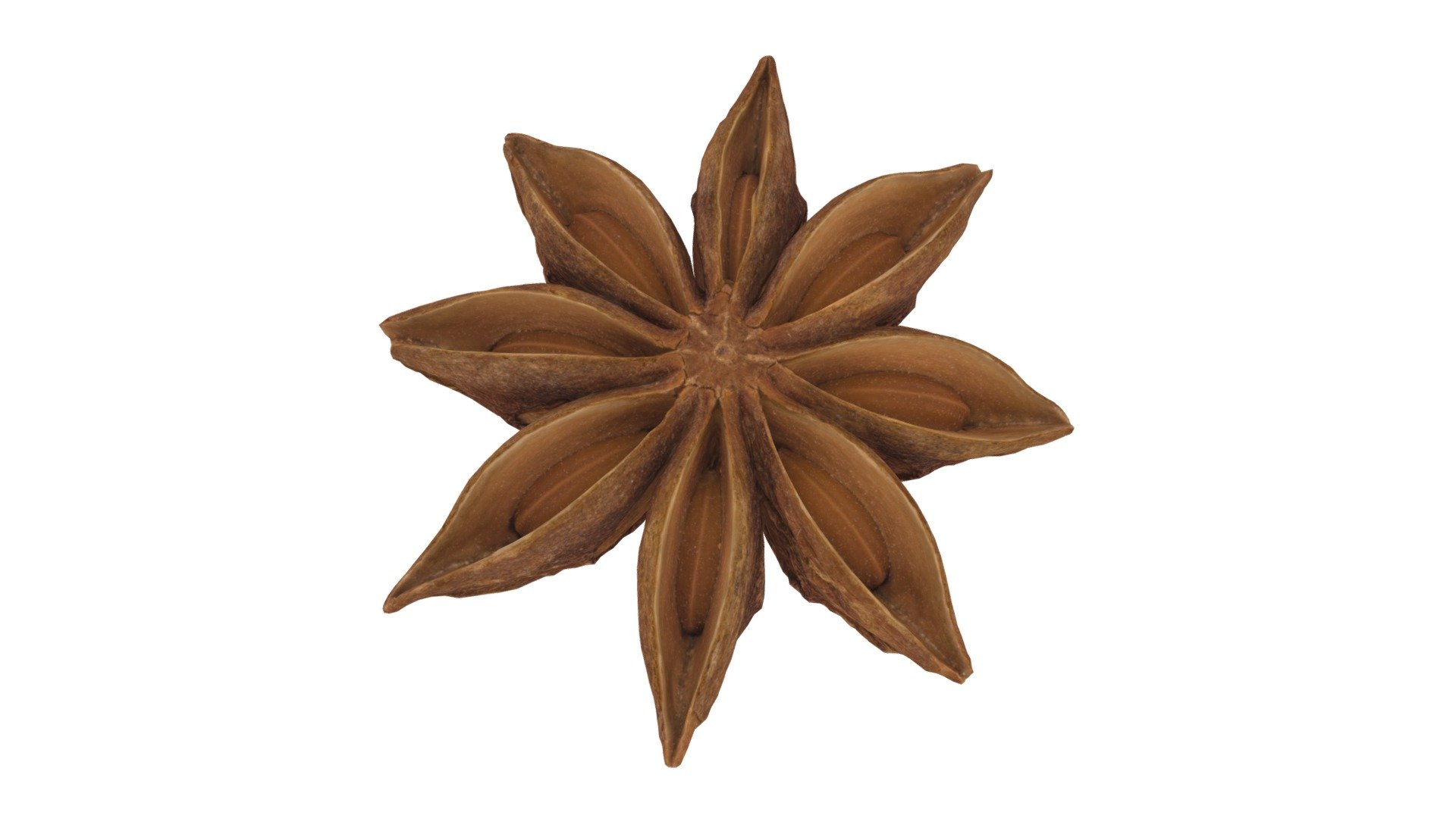 Highly detailed, photorealistic, 3d scanned model of a starAnise. 8k textures maps, optimized topology and uv unwrapped.

Model shown here is lowpoly with diffuse map only and 4k texture size.

This model is available at www.thecreativecrops.com 3d model