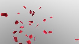 PETAL ROSE valentine, rose, wedding, party, coupe, petal