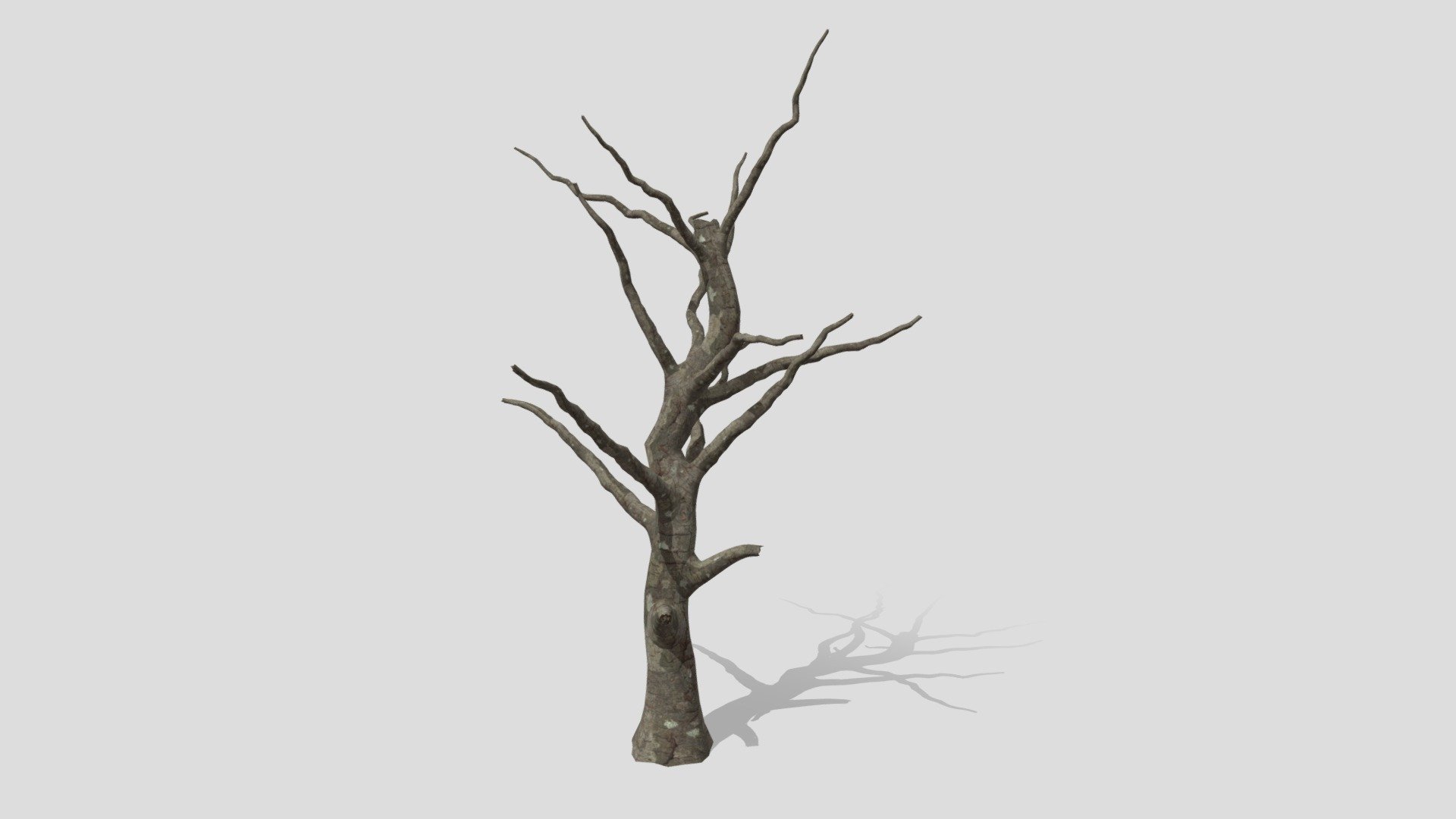 Stay by nature to find your nature in that. we hope you use it free and useful. lets know your idea to in your comments to provide the best for next times 3d model