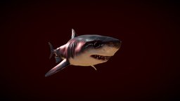 Great white shark shark, fish, predator, ocean, wet, aquatic, scary, greatwhiteshark, blender, creature, animal, animated