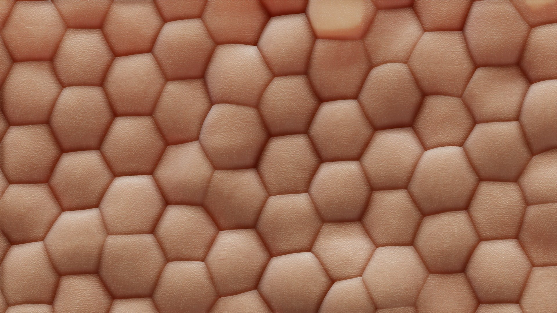 Originally modeled in Zbrush2021



Advanced Format C4D
Other Format OBJ STL 3DS FBX + Scene render Marmoset Toolbag 4



Skin  texture :
- BaseColor
- Metallic
- Roughness
- Normal
- AO



SCALE:
- Model at world center and real scale:
       Metric in centimeter
       1 unit = 1 centimeter



Texture resolution 4096x4096



Poly Count :
Polygon Count - 363416
Vertex Count - 181900
No N-Gons - Human Skin Anatomy - Buy Royalty Free 3D model by zames1992 3d model