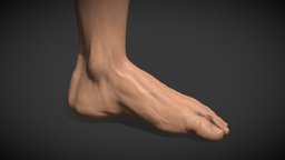 Foot sculpt, foot, lowpolymodel, zbrush