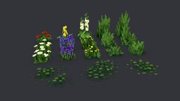 Fancy Foliage