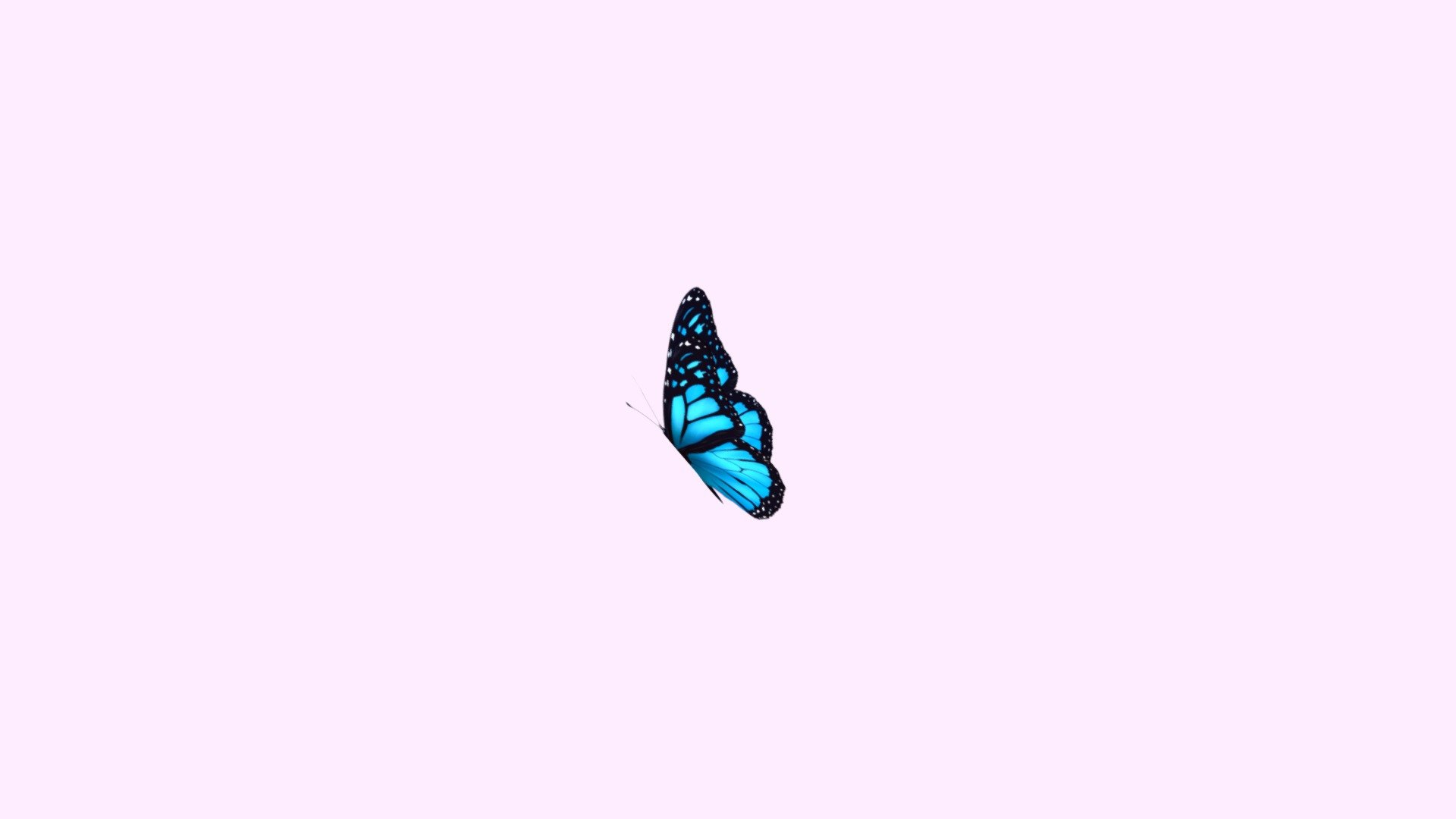 Hand-painted stylized butterfly! Modeled, UVed, rigged, and animated in Maya. 2048x2048 textures, one material 3d model