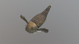 Parahughmilleria hefteri extinct, devonian, eurypterid, seascorpion