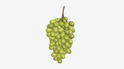 Grapes 05 green, food, fruit, organic, natural, fresh, berry, juice, sweet, health, grape, juicy, ripe, harvest, nutrition, healthy, 3d, pbr