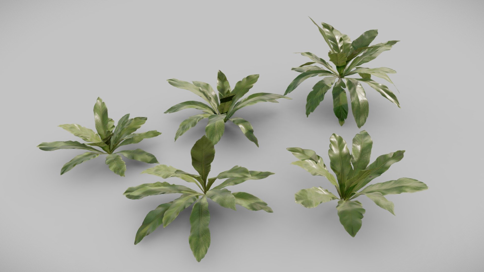 Product Details:

3D Models:

.fbx and .OBJ files

Game-Ready asset

LODs

5 different Variations

Textures:

4K textures

.tif format

*Maps:

-Albedo (RGBA)

-Normal

-Roughness

-Thickness 

-Opacity

-Height

-AO

-Metallic

-Unity Mask (HDRP)

Join my Discord Server for doubts, issues, and support 3d model