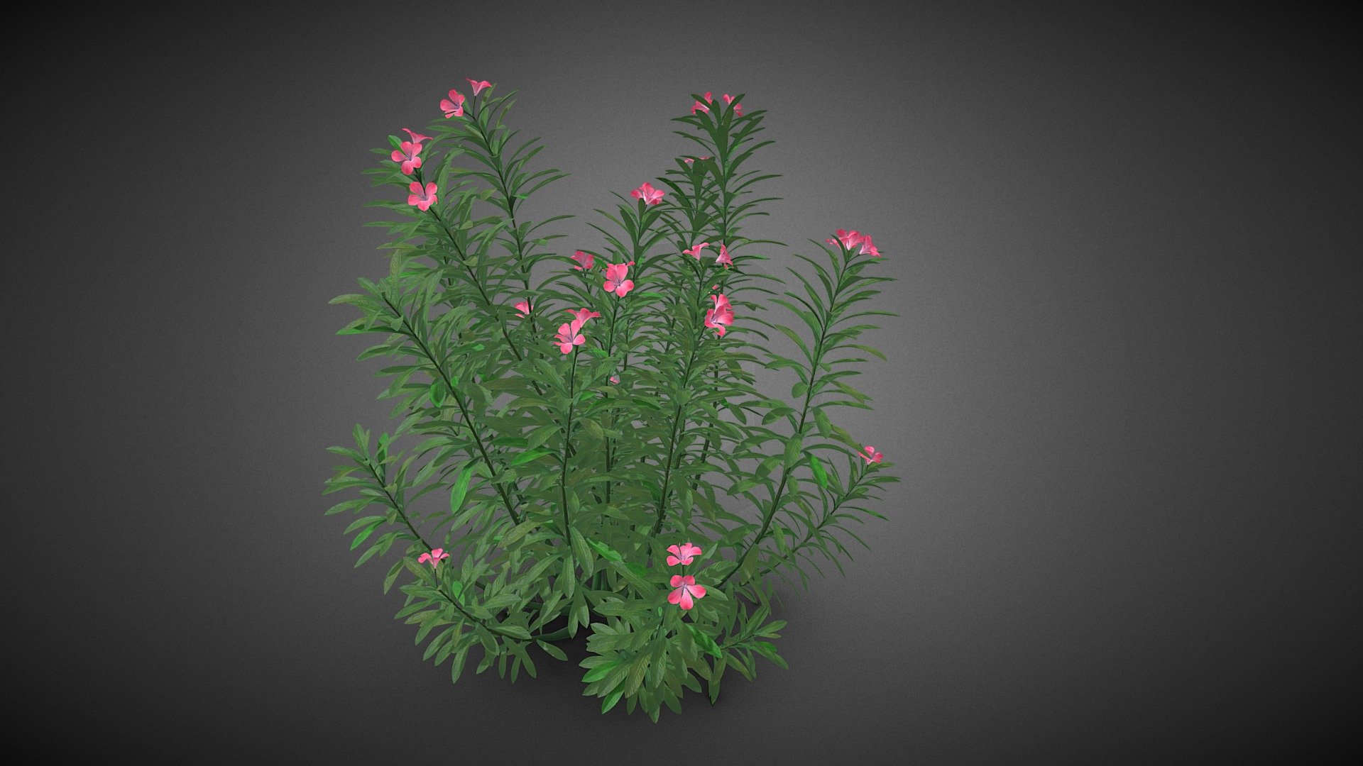 Shrub tree - Shrub tree - Buy Royalty Free 3D model by misitewang 3d model