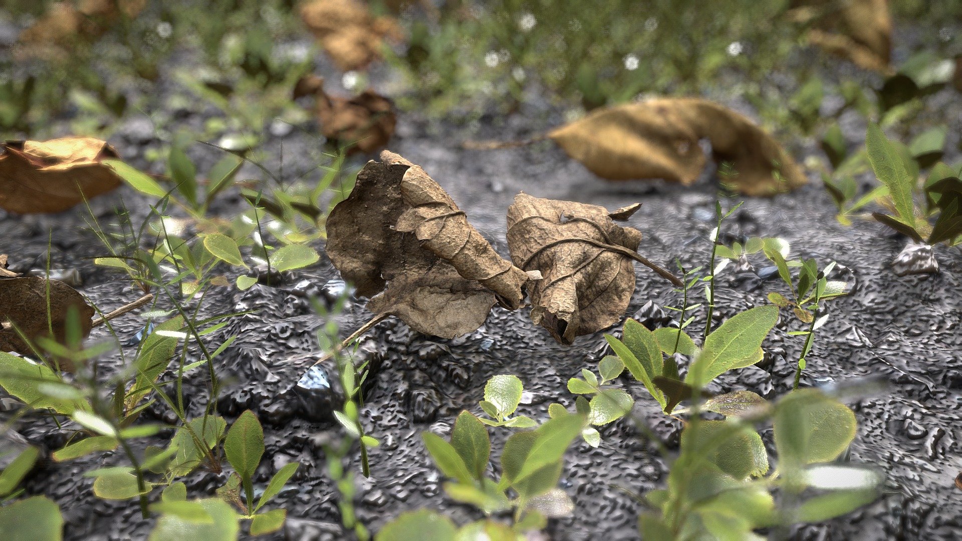 A good reference or gameobject to a computer game, renders, ect&hellip;

4k/2k difuse map, normal map, concavity map, ambient occlusion map&hellip;

4 hero leaf model + 4 low poly models of grass chunks + terrain scan

enjoy :) - Leaves in the garden - Download Free 3D model by 3dhdscan 3d model