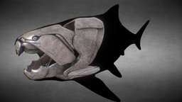 Dunkleosteus skeleton, fish, bone, reconstruction, fossil, paleontology, fosil, devonian, placoderm, skull, palaeontology, placodermi, noai