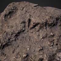 Bird footprint soft mud, Raby, Wirral (2) bird, track, mud, footprint, ichnology, photogrammetry