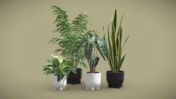 Indoor Plants Pack 55