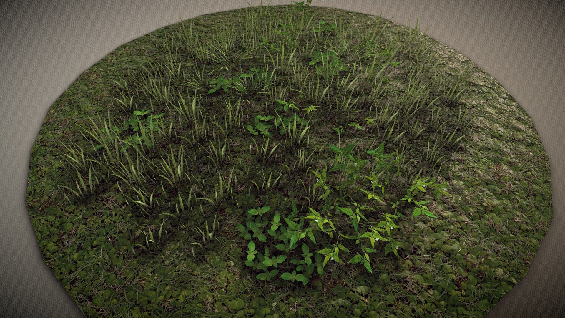 Ground Foliage texture with sample models.

Details:

Maps are 4K resolution (.tif) with alpha channel ready to use in Unity or more engines.

One PBR material

Maps Sample:  https://imgur.com/bTzwnrj

Here an example of this grass rendered in Unity, image with the caption &ldquo;Tall Grass