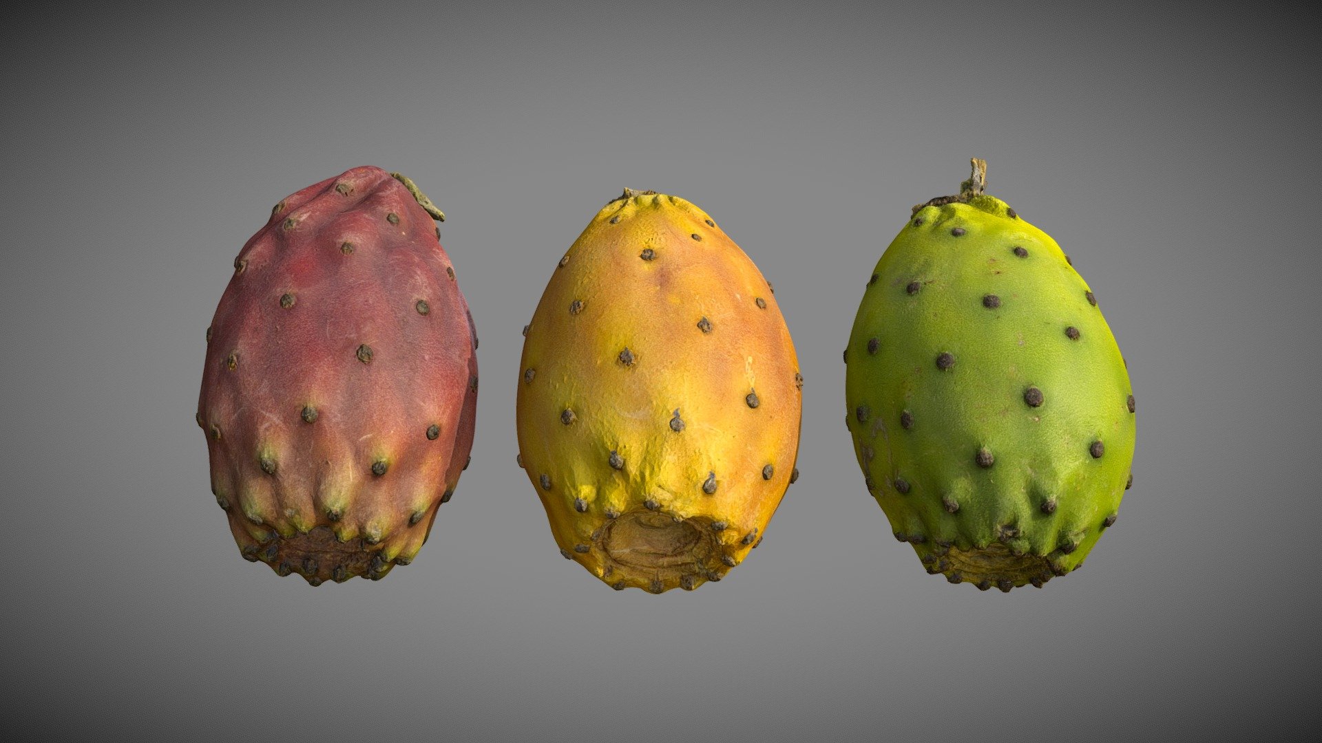 Scan of three Cactus Fruits / Prickly Pears / Barbary Figs / Indian Fig Opuntia
(high-poly models included)

Red: https://skfb.ly/oNn8A

Yellow: https://skfb.ly/oNn8B

Green: https://skfb.ly/oNn8D - Three Prickly Pears - Buy Royalty Free 3D model by Eydeet 3d model
