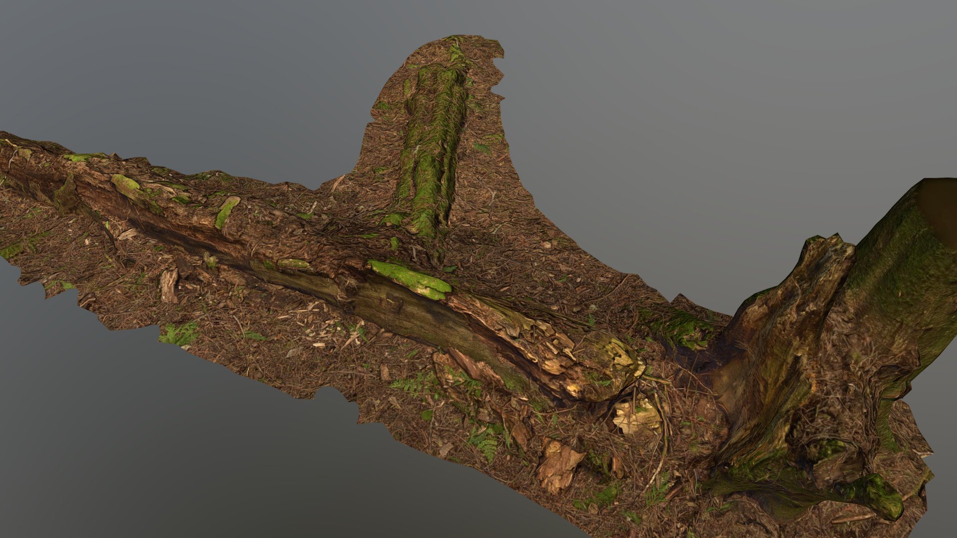 Captured with Nikon 3500. Processed in Reality Capture. Lopoly created in 3Ds Max using the new retopo plugin. De-Lit in Agisoft De-Lighter, Maps baked out in Substance Designer, and touched up in Substance Painter 3d model