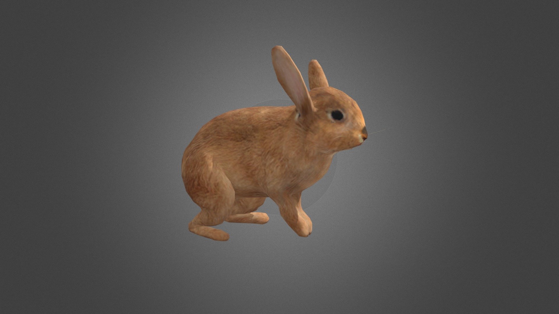 Rabbit Rigged - Download Free 3D model by FourthGreen 3d model