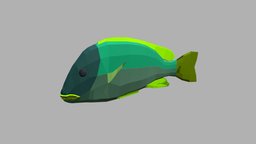Black Spotted Grunt fish, fishing, river, underwater, animals, lake, ocean, aquarium, aquatic, nature, sealife, oceanlife, fish-cartoon, black-spotted-grunt, low-poly, animal, animated, simple, sea