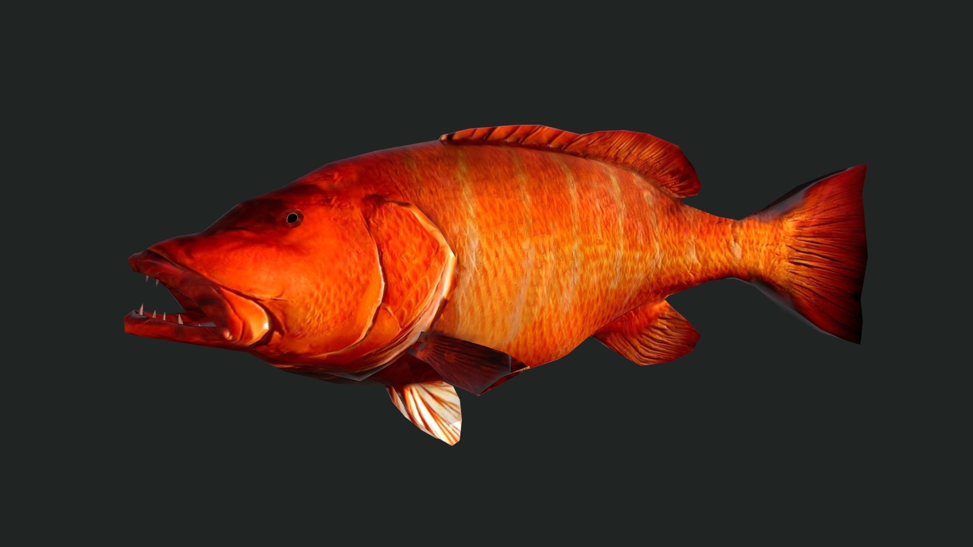 Geometry 
708 Quads Number of quad faces 
128 Triangles Number of triangle faces 
2 Polygons Number of polygon faces 
1.6k converted to Triangles Number of faces 
Vertices 
819 Number of vertices 



Animation: 
3 anims: swim slow, swim fast, eat. 



Texture: PNG format, Size: 2048*2048. 
Full PBR maps: Diffuse, Normal, Displayment, Spec, Glossiness, Occlusion. 
Include UV map layer. 


 - Cubera Snapper - 3D model by josluat91 3d model