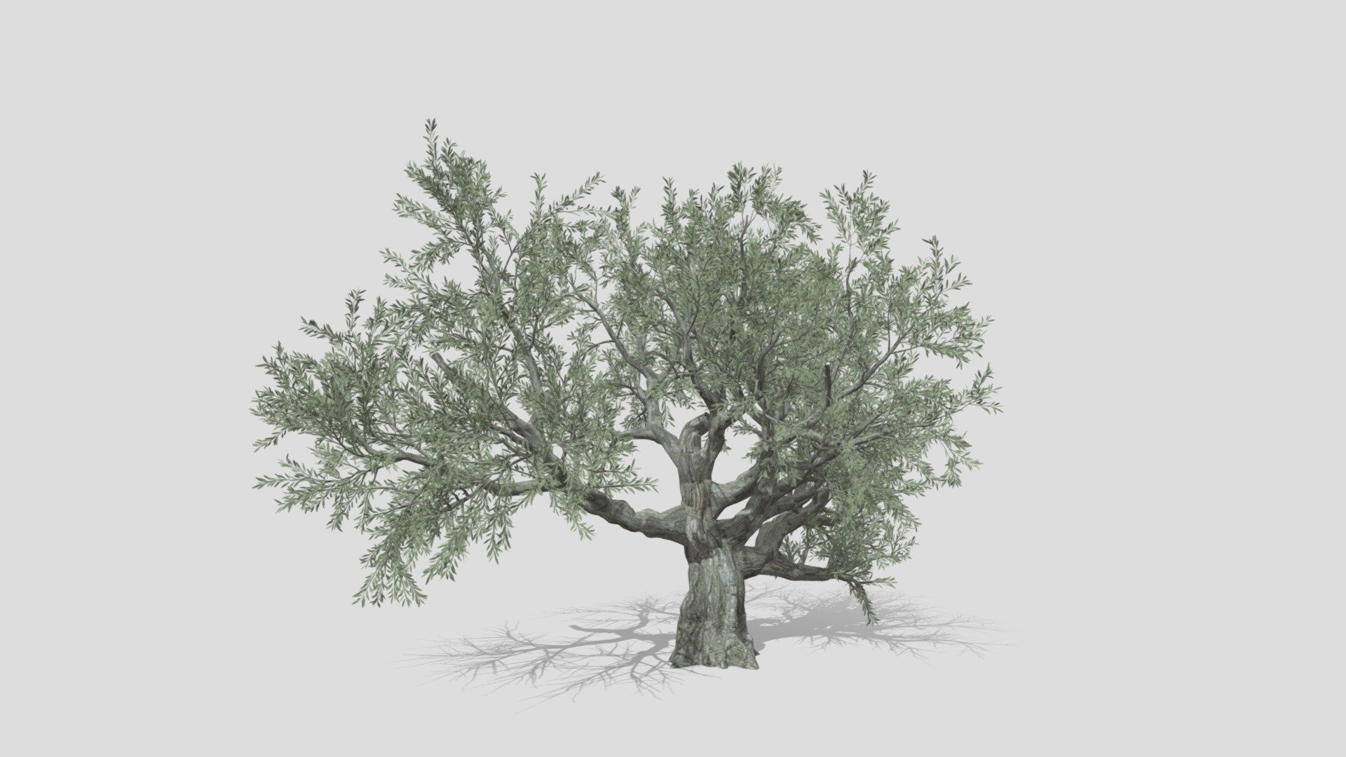 This is a part of model taht has realitstic and high quality texture. we try to publish different style in one mode dues to limitaion we have to publish in different part. we hope you use it 3d model