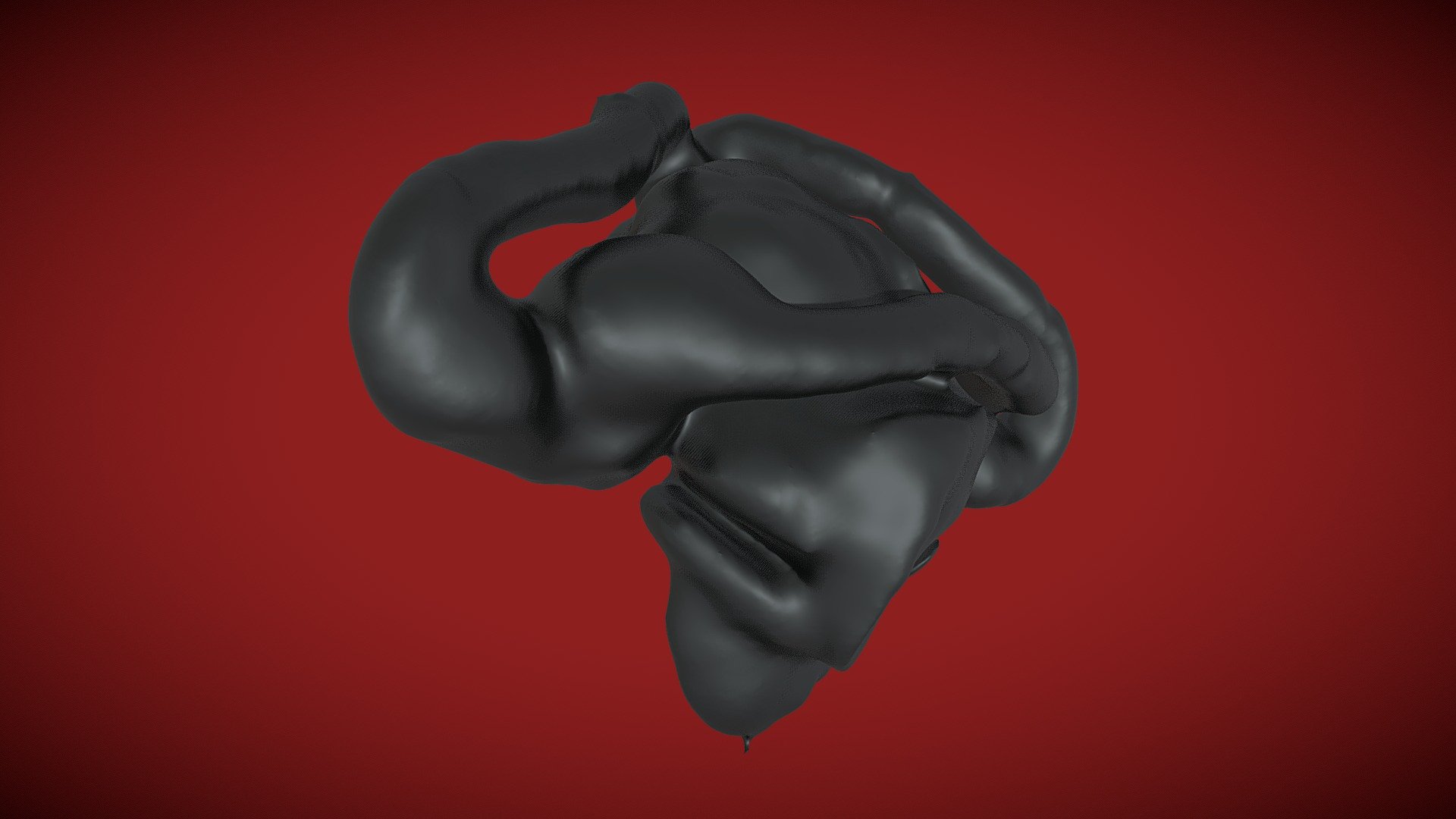 specimen ID: Micrurus surinamensis (MUSM-herps-37353) 

This is the left inner ear of a venomous coral snake native to South America - Coral snake inner ear - 3D model by Michigan Herpetology (UMMZ) (@michiganherpetology) 3d model