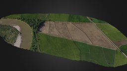 Lote preparado para cultivo de arroz fotogrametria, orthofoto, cultivo, arroz, aerofotografia, agricultura, agrimensura, buena-esperanza