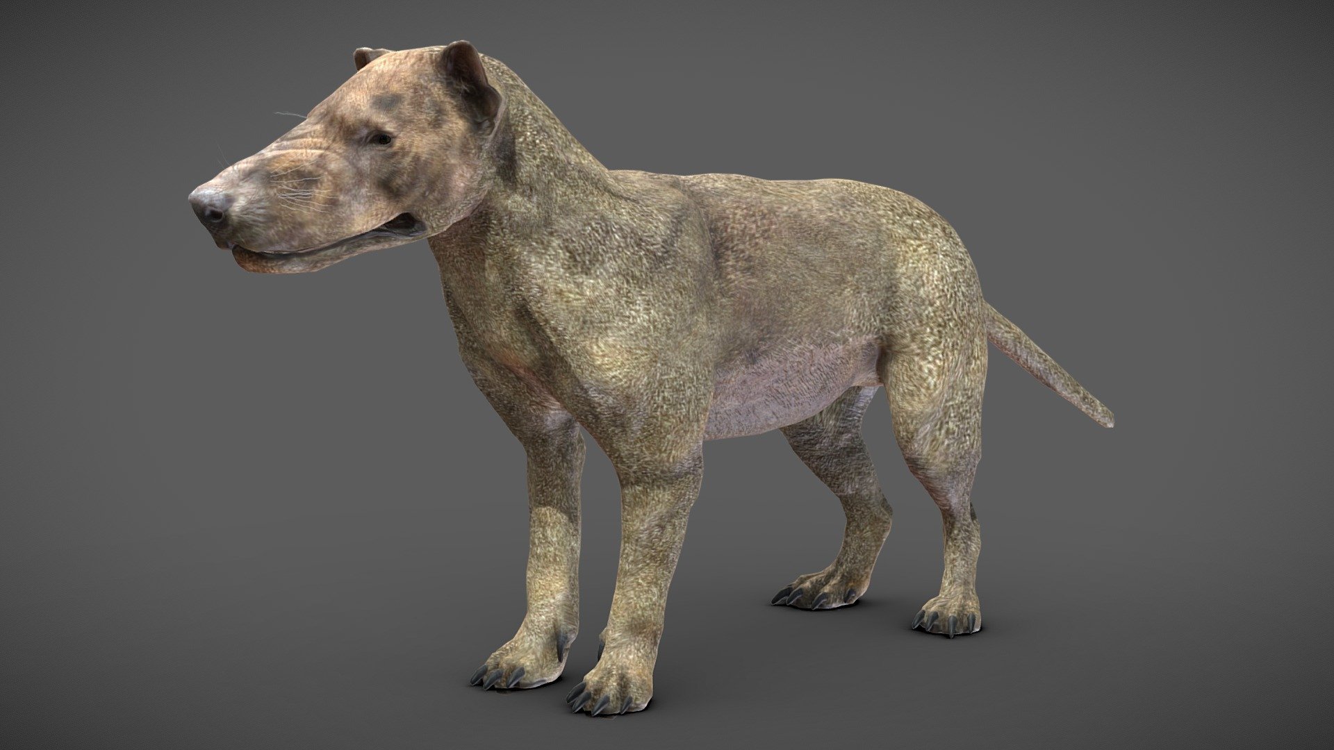 Hyaenodon gigas rigged model



Rigged model of Hyaenodon gigas.
The mesh has textures and retopology, useful as character for games.

If you liked the model, please, leave a positive review! - Hyaenodon gigas - Rigged - Buy Royalty Free 3D model by Iofry 3d model