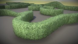 Boxwood Hedge Set Version 1 tree, plant, leaf, box, curve, buxus, boxwood, hedge