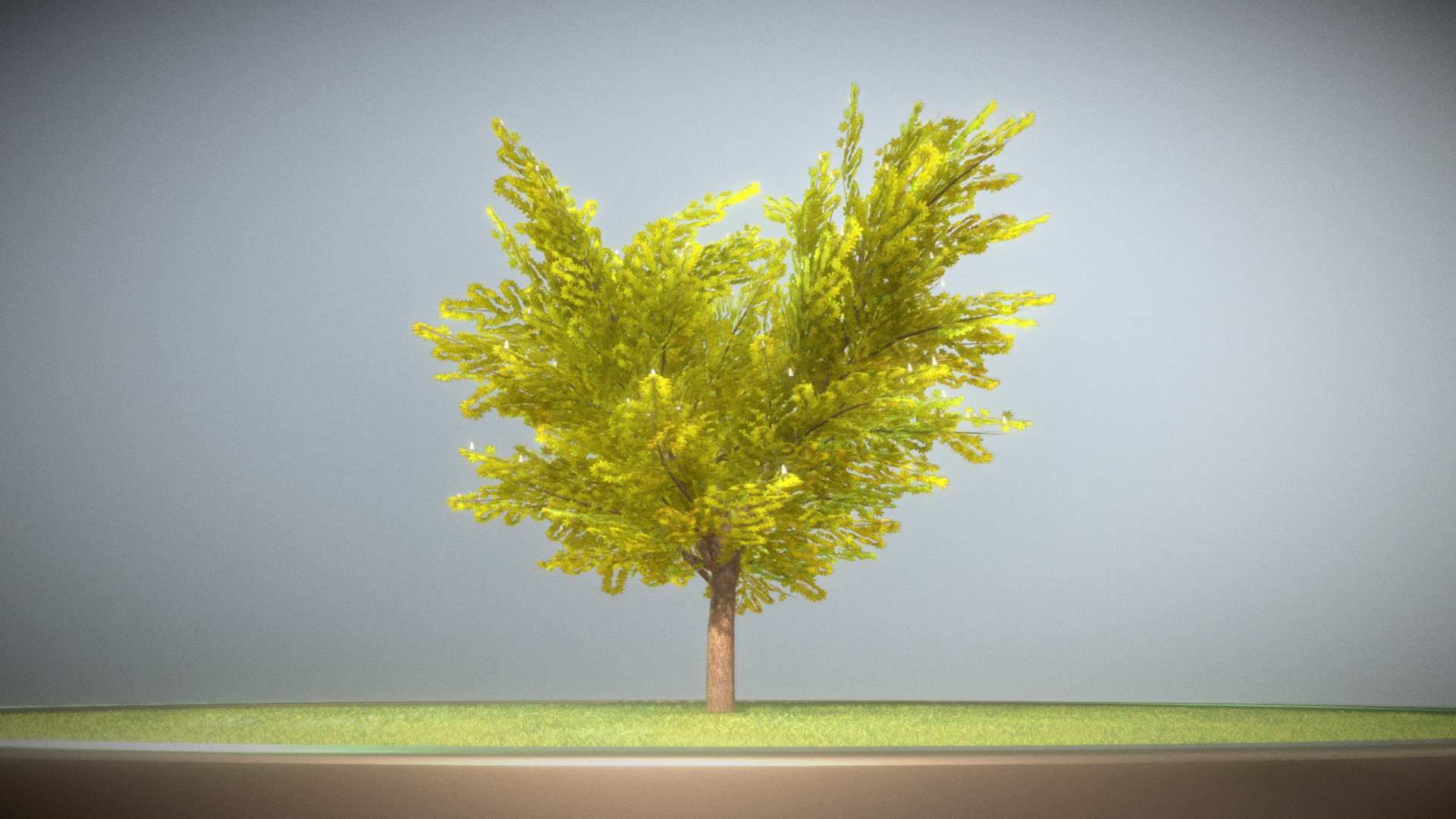 Kastanie 12 Meter im Frühling.




Object Name - European_Horse_Chestnut_Spring_12m 

Object Dimensions -  11.973m x 11.466m x 12.006m






Vertices = 8837

Edges = 13026

Polygons = 5658



Material - Kastanie_2:




Blend Mode: CLIP

Shadow Mode: CLIP

Kastanie_Col_4K.png(4096x4096px)

01_Kastanie_Nor_4k.jpg(4096x4096px)







Modifiers




Modifier = Yes
         1 - Triangulate





Ein 3d-Objekt aus dem VIS-All Baum Module 4 

Modelliert und texturiert von 3DHaupt mit Blender-3D




Letzte Aktualisierung:
15:42:55 04.05.23
 - Kastanie 12 Meter - Frühling - Buy Royalty Free 3D model by VIS-All-3D (@VIS-All) 3d model