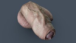 DK_A04 balls, , , cock, , genital