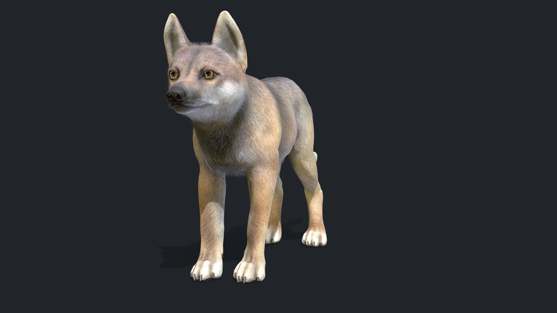 All files with animations are in the attached archive.

The attached archive contains:

4 color options 90 +IP/RM animations FBX, OBJ, Blend file formats

If you have any questions, write to me by mail 3d model